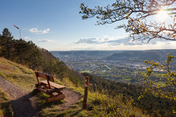 Jena_SaaleHorizontale_Jenzig_Blick auf Jena_JenaKultur_RomanMoebius.jpg